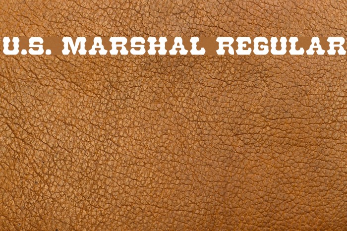 U.S. Marshal Regular Font examples