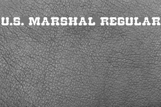 U.S. Marshal Regular Fonte examples