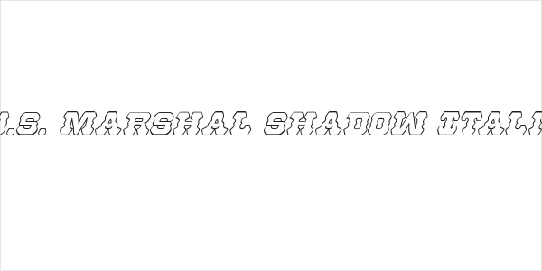 U.S. Marshal Shadow Italic Logo