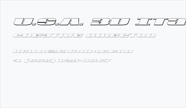 U.S.A. 3D Italic Business Card