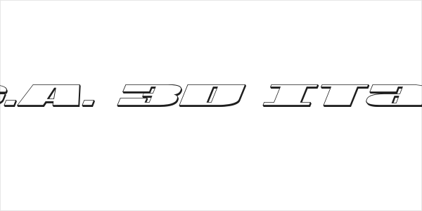 U.S.A. 3D Italic Logo