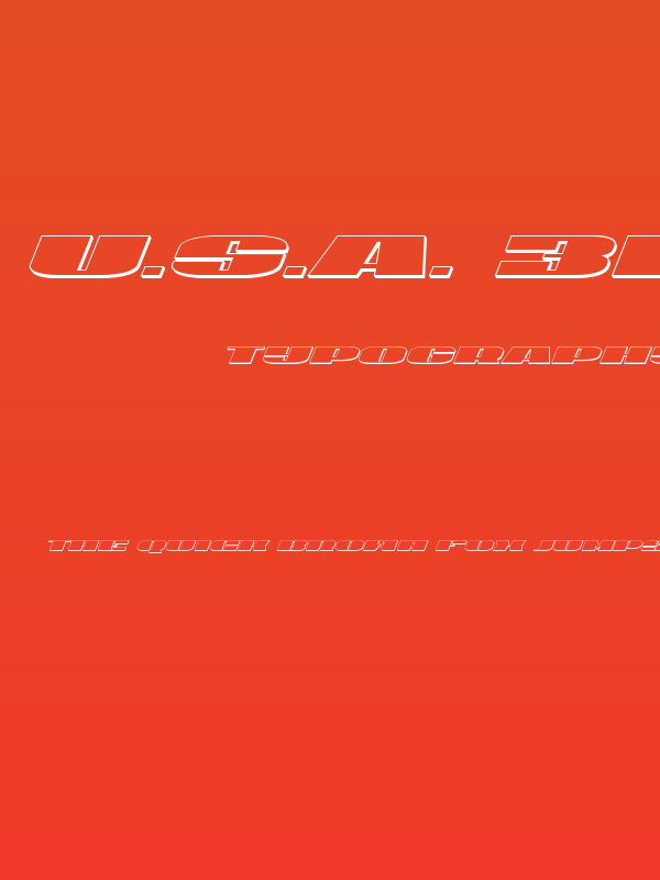 U.S.A. 3D Italic Poster