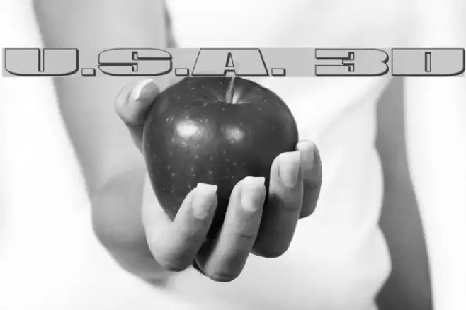 U.S.A. 3D Font examples