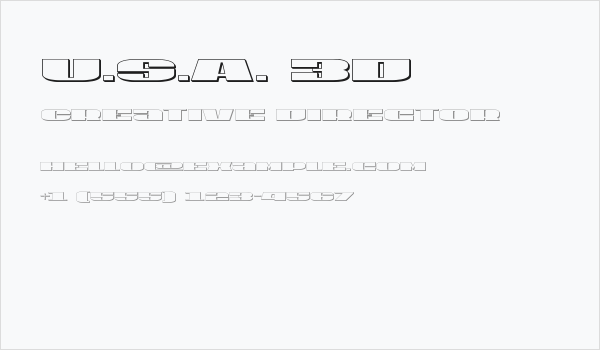 U.S.A. 3D Business Card