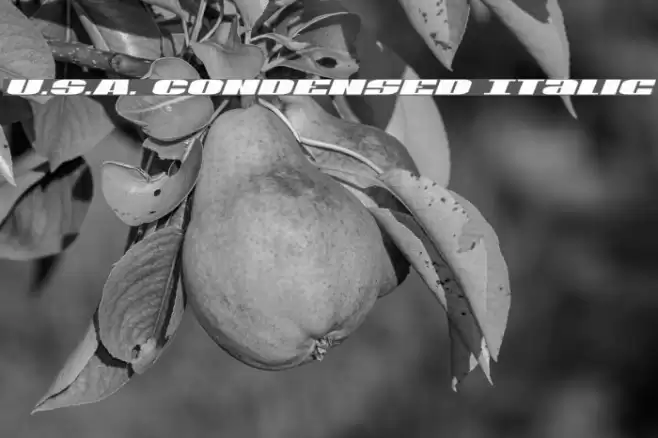 U.S.A. Condensed Italic Polices examples