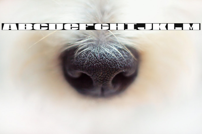 U.S.A. Condensed Example 1