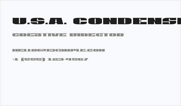 U.S.A. Condensed Business Card