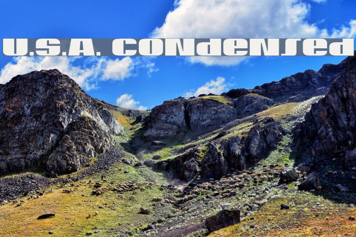 U.S.A. Condensed Font examples