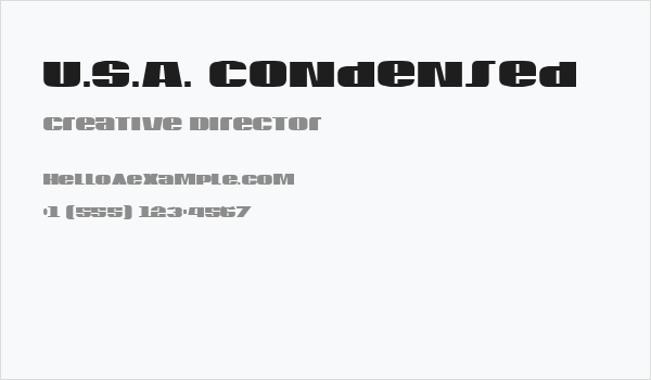 U.S.A. Condensed Business Card