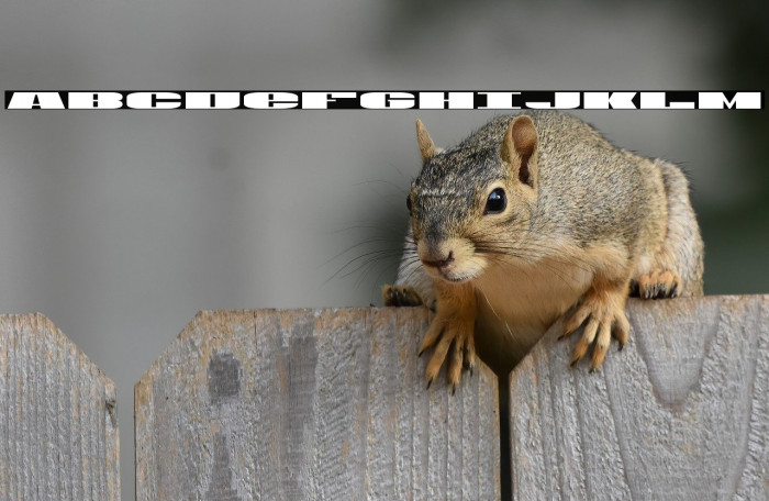 U.S.A. Expanded Example 3