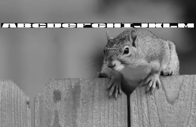 U.S.A. Expanded Font examples