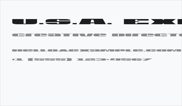 U.S.A. Expanded Business Card