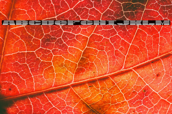 U.S.A. Gradient Example 3