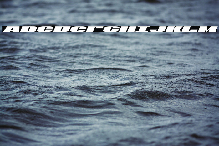 U.S.A. Italic Example 2