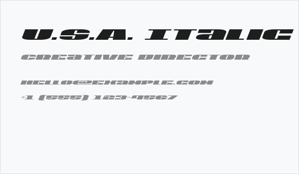 U.S.A. Italic Business Card
