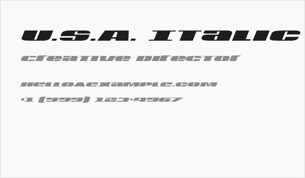 U.S.A. Italic Business Card