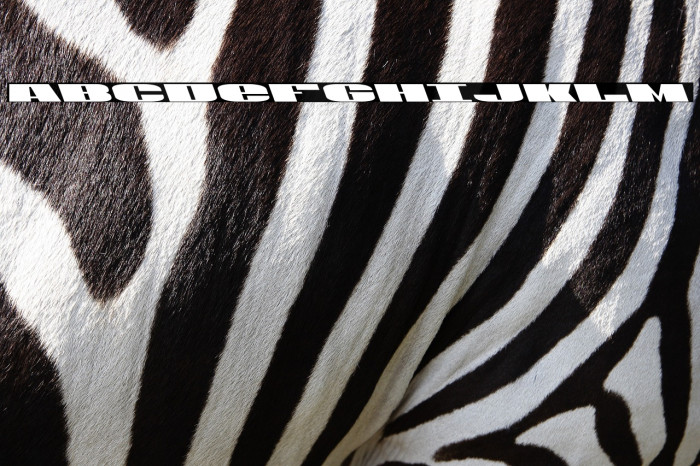 U.S.A. Leftalic Example 2