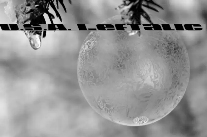 U.S.A. Leftalic Font examples