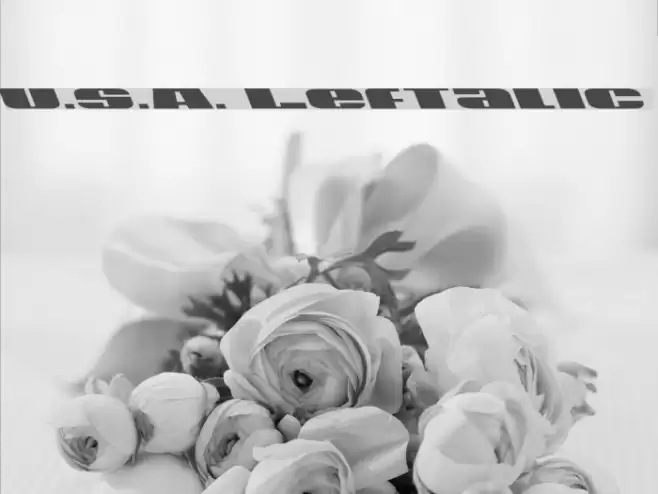 U.S.A. Leftalic Font examples