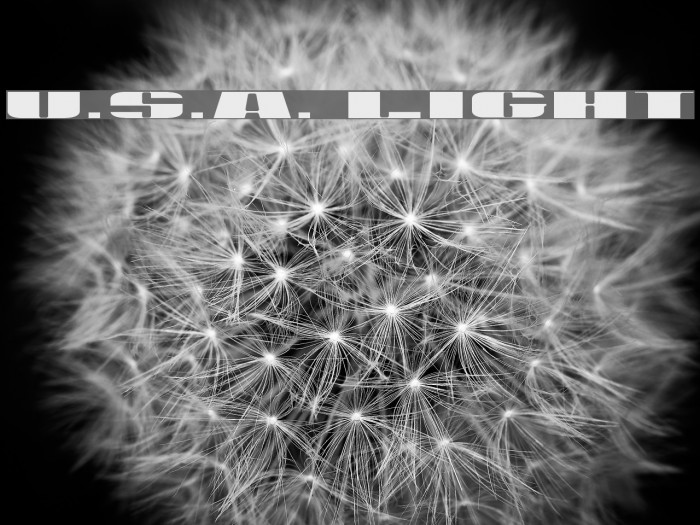 U.S.A. Light Caratteri examples