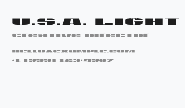 U.S.A. Light Business Card