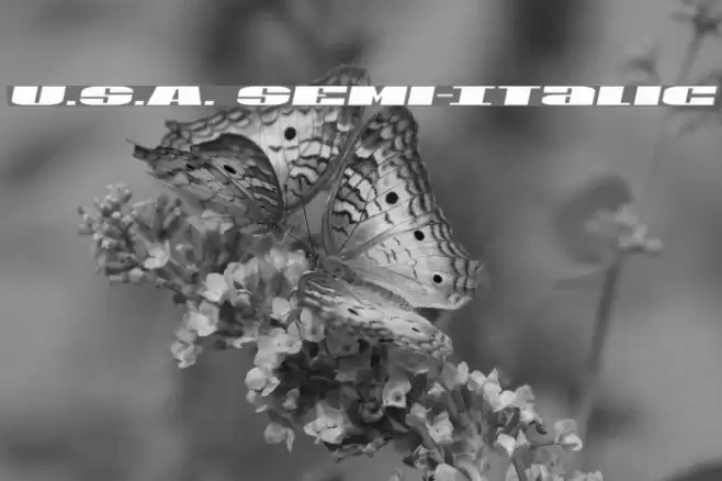 U.S.A. Semi-Italic Font examples