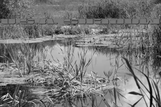 U.S.A. Shadow Font examples