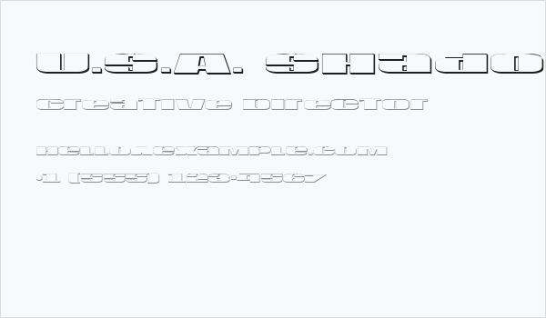U.S.A. Shadow Business Card