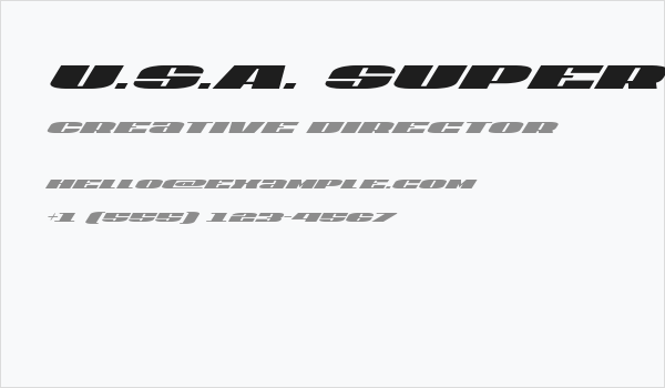 U.S.A. Super-Italic Business Card