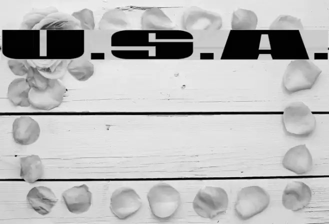 U.S.A. Font examples