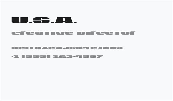 U.S.A. Business Card