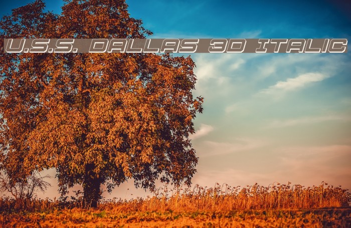 U.S.S. Dallas 3D Italic Font examples