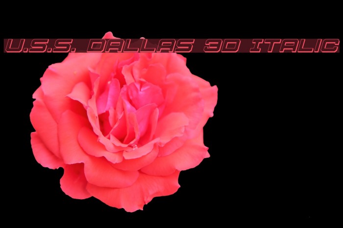 U.S.S. Dallas 3D Italic Font examples