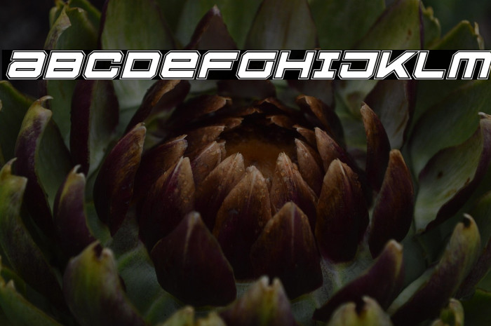 U.S.S. Dallas Academy Italic Example 2