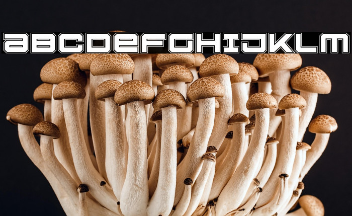 U.S.S. Dallas Academy Example 3