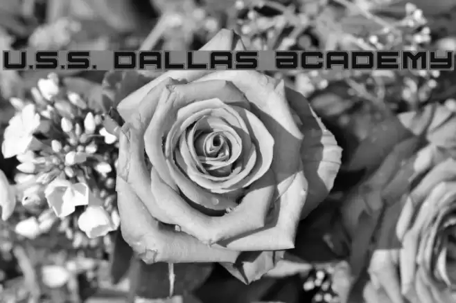 U.S.S. Dallas Academy Font examples