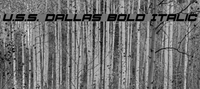 U.S.S. Dallas Bold Italic Font examples