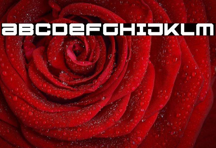 U.S.S. Dallas Bold Example 1