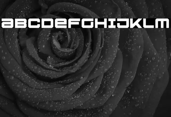 U.S.S. Dallas Bold Font examples