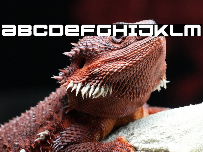 U.S.S. Dallas Bold Example 3