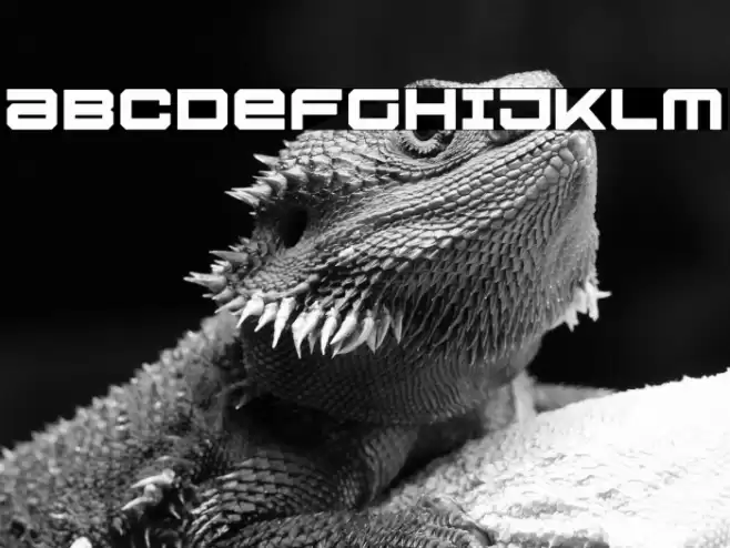 U.S.S. Dallas Bold Font examples