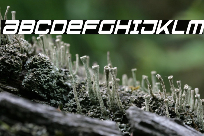 U.S.S. Dallas Condensed Italic Example 3