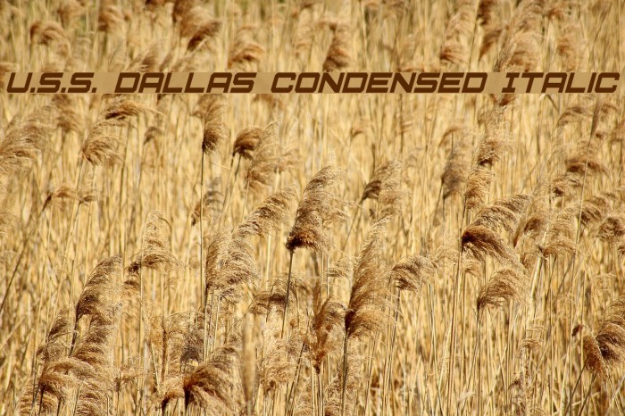 U.S.S. Dallas Condensed Italic Font examples