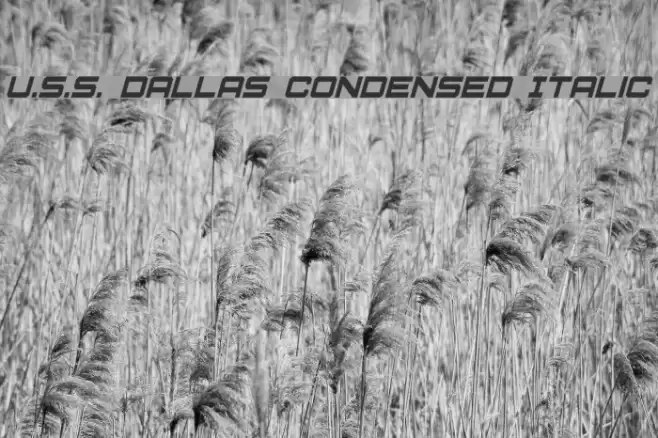 U.S.S. Dallas Condensed Italic Fuentes examples