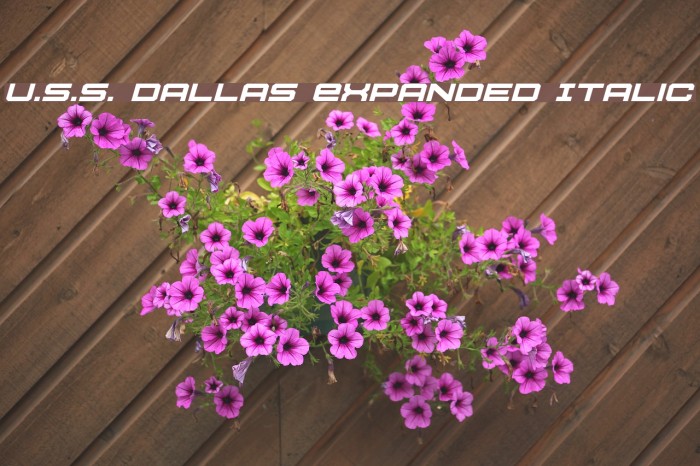 U.S.S. Dallas Expanded Italic Font examples