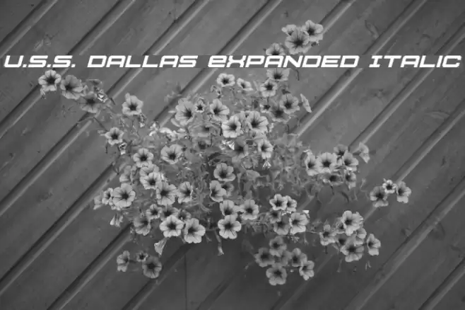 U.S.S. Dallas Expanded Italic Polices examples