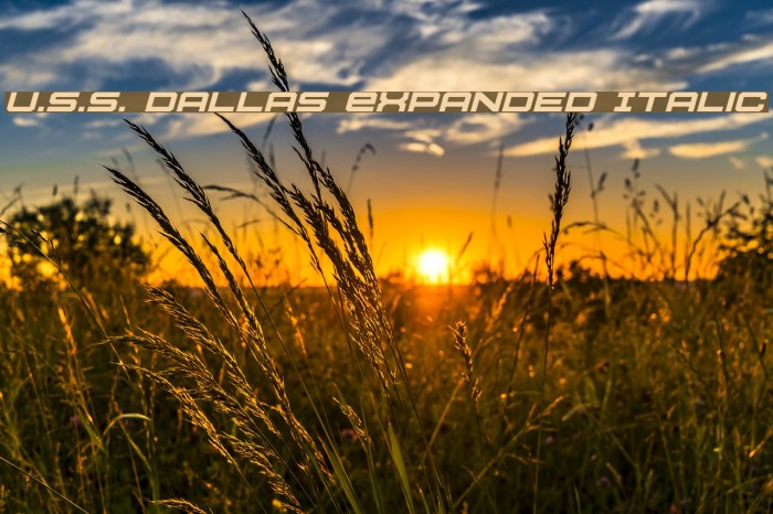 U.S.S. Dallas Expanded Italic Font examples