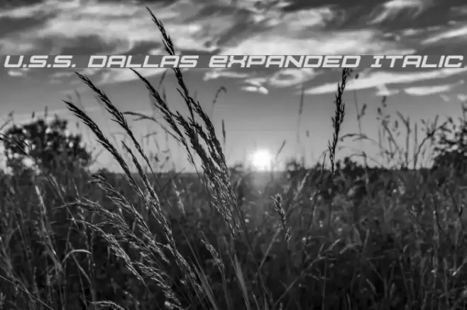 U.S.S. Dallas Expanded Italic Polices examples