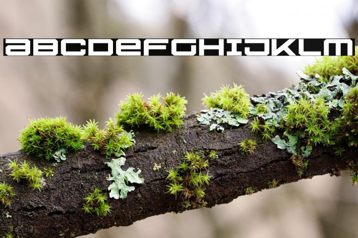 U.S.S. Dallas Expanded Example 2