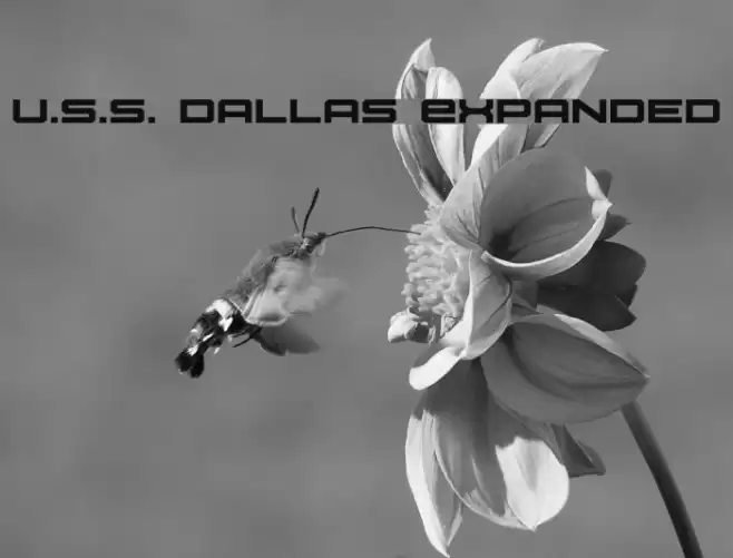 U.S.S. Dallas Expanded Font examples